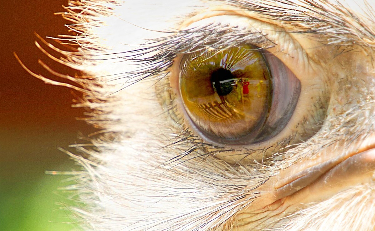 贵州黔北花海公园