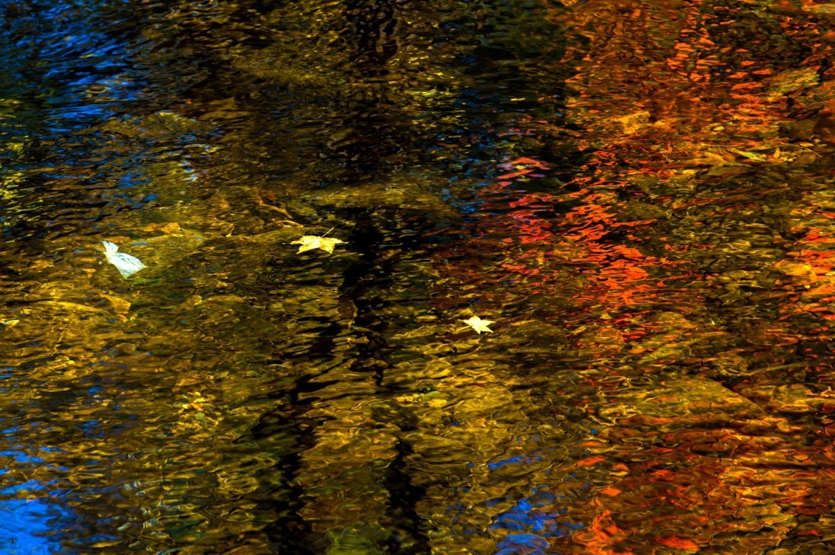 外出随拍（续247）.