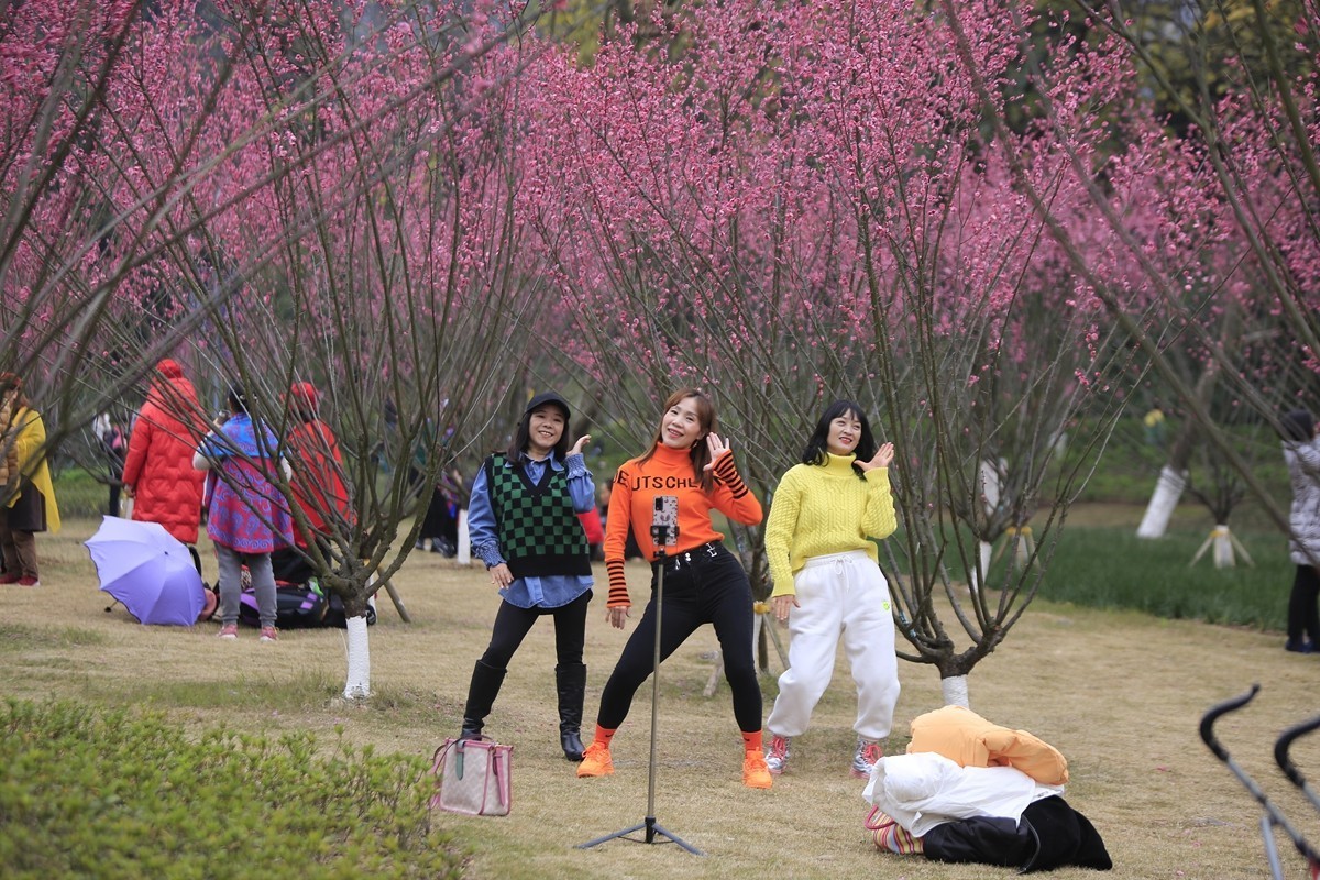 重庆渣滓洞观赏红梅纪实