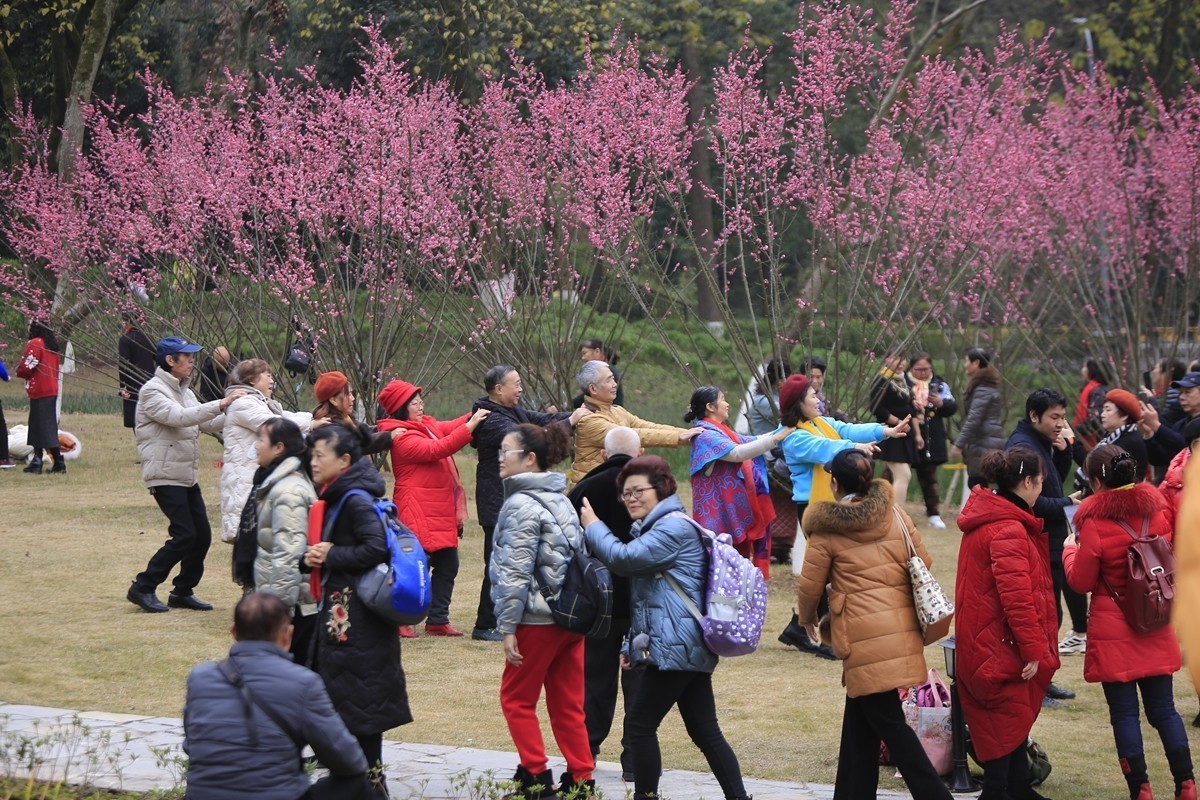重庆渣滓洞观赏红梅纪实