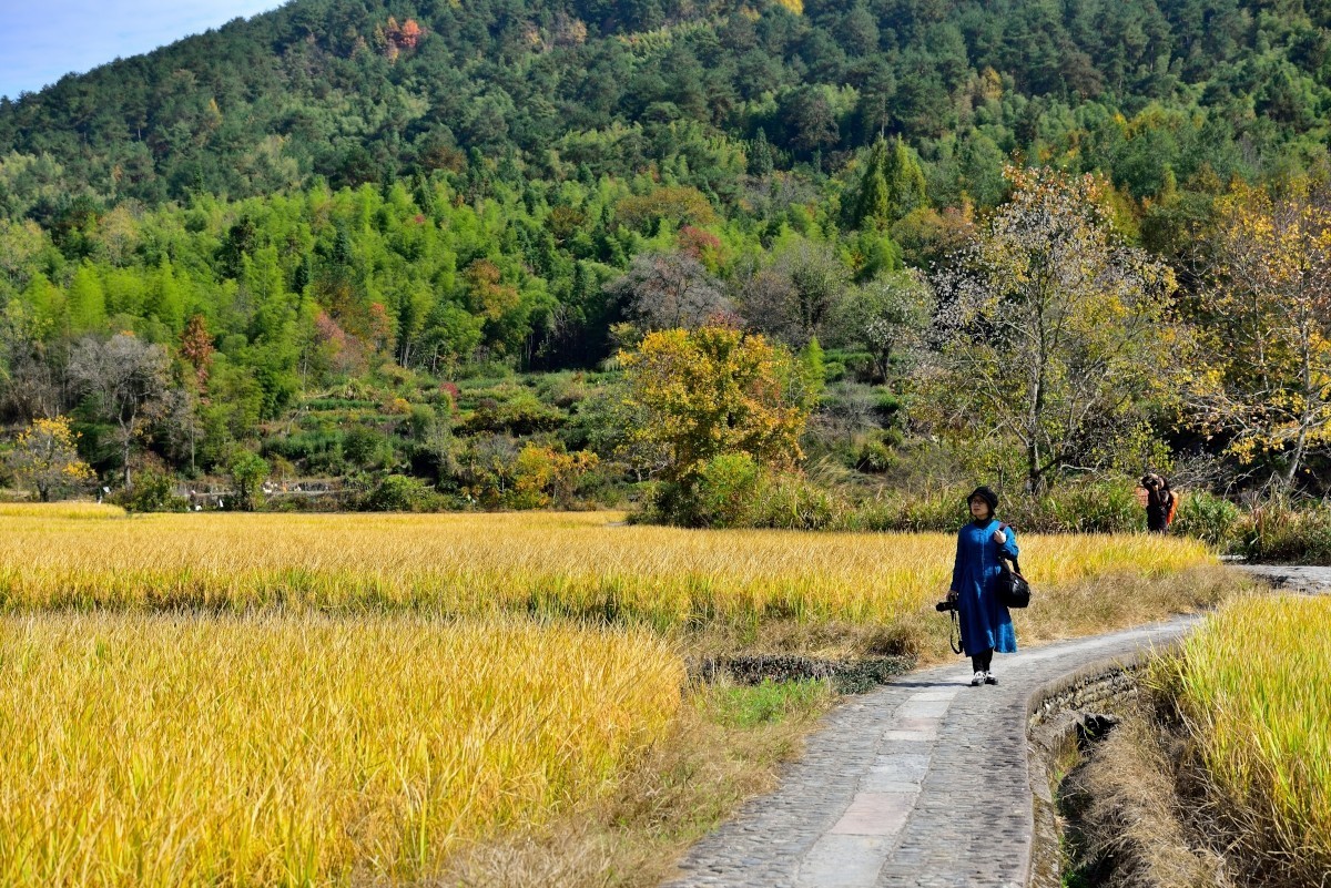秋染塔川（一）