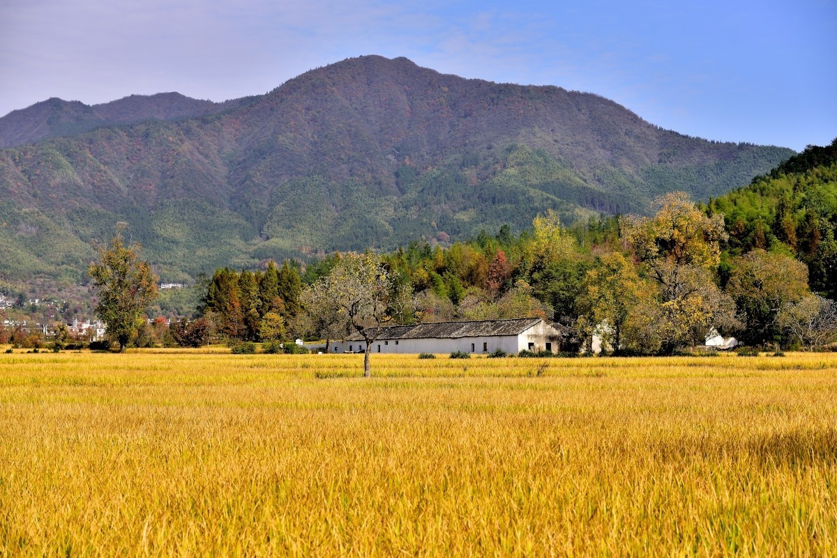 秋染塔川（一）