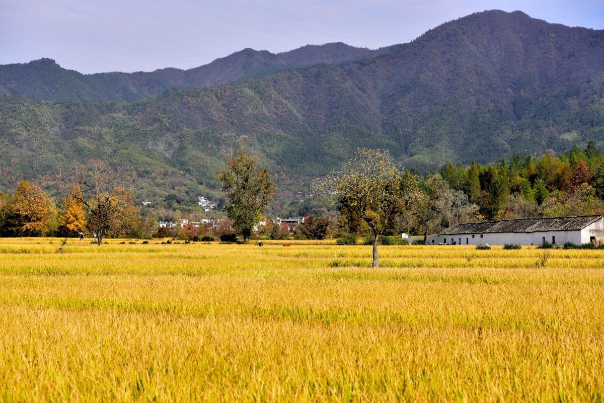 秋染塔川（一）