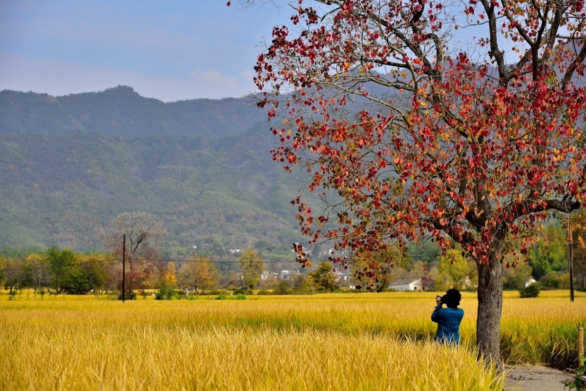 秋染塔川（一）