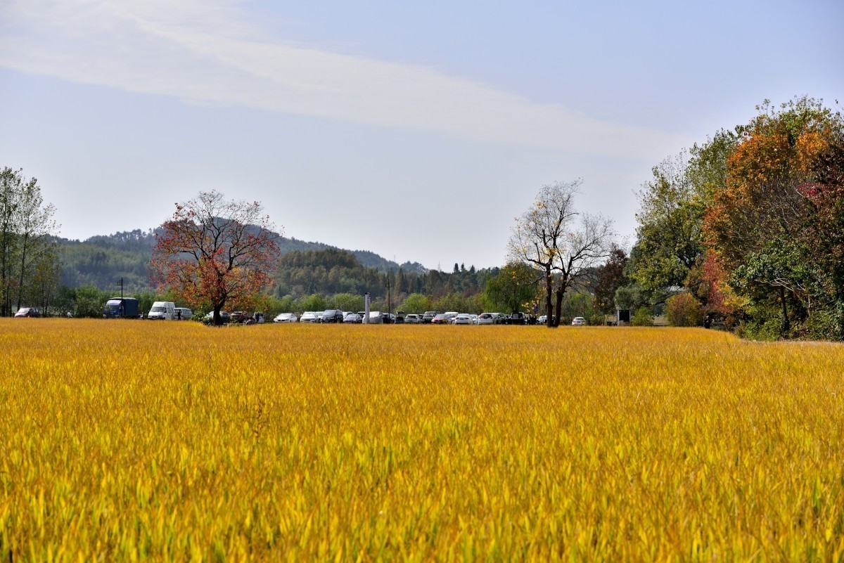 秋染塔川（一）