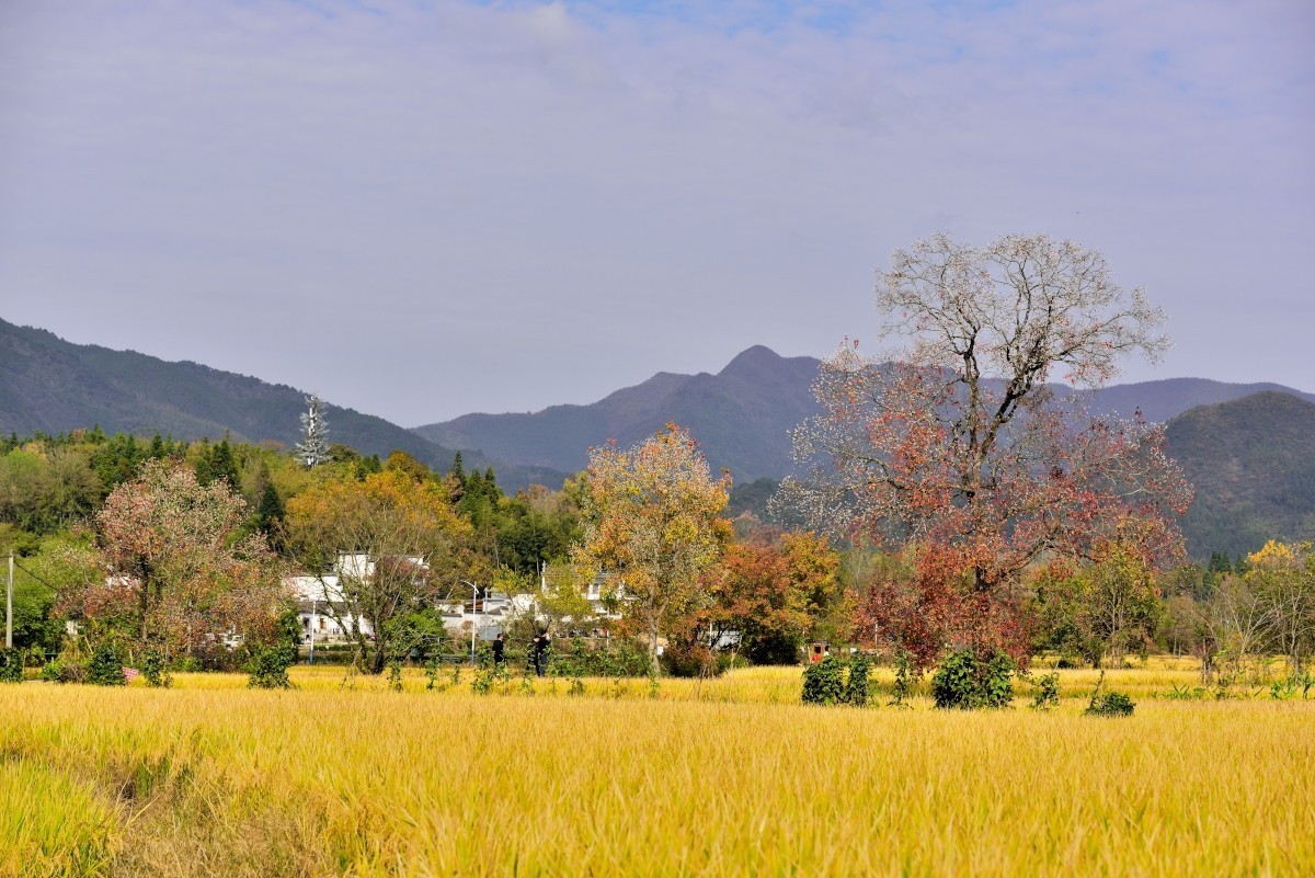 秋染塔川（一）