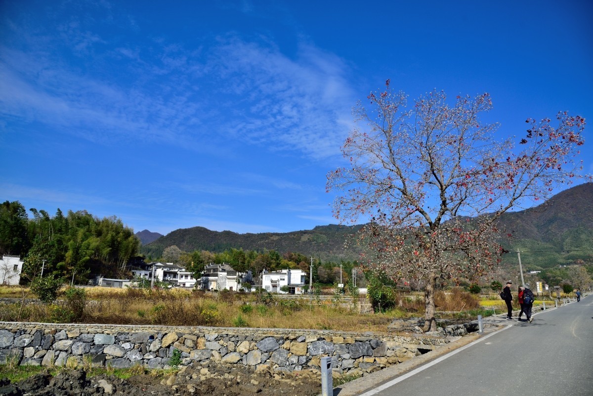 秋染塔川（二）