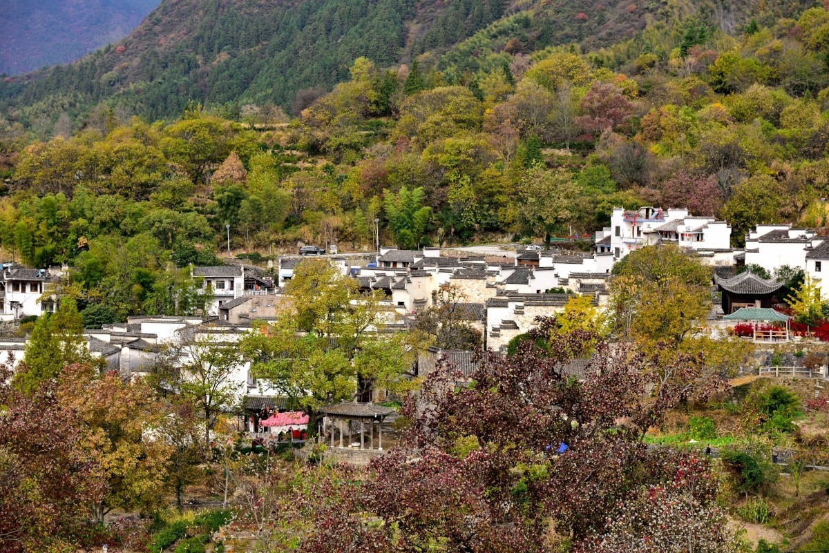 秋染塔川（三）