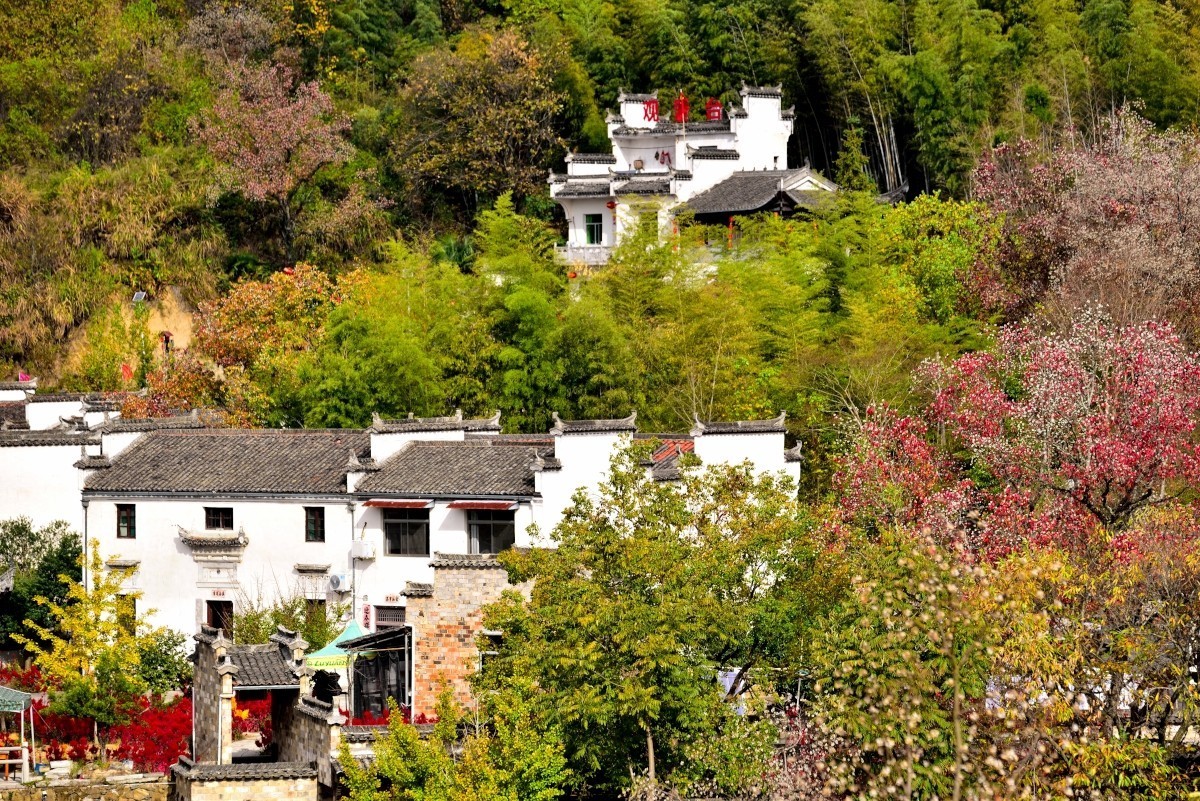 秋染塔川（三）