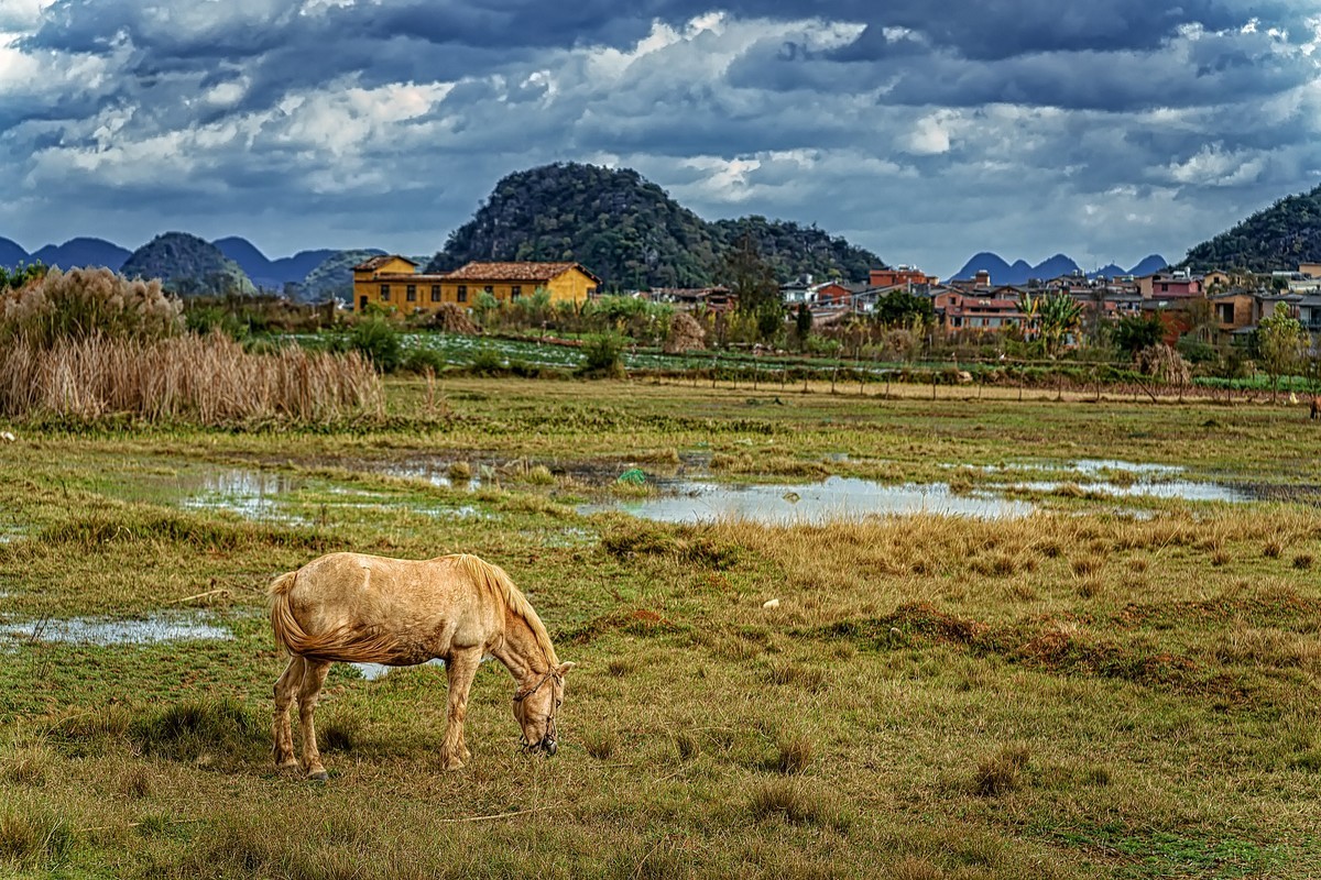 普者黑的山水田园风光