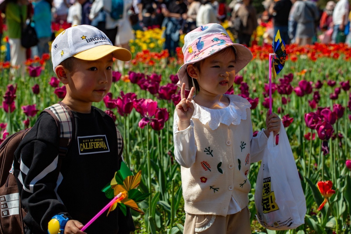 植物园拍郁金香33