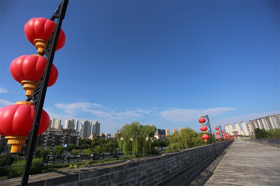 高温下的洛阳随唐城遗址植物园