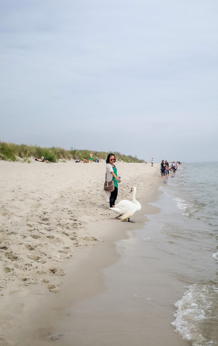 海滩留影——波兰之“希尔半岛”