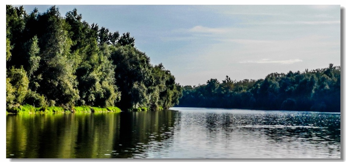 莱茵秋水（德-法）