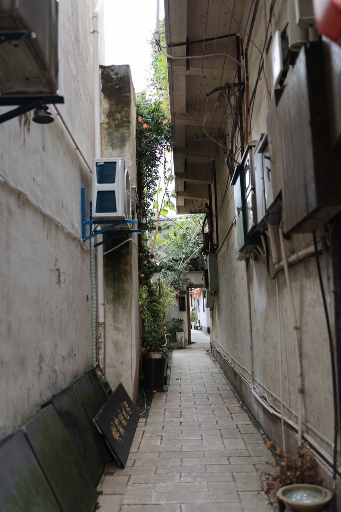 恢复出来的照片 ------ 1