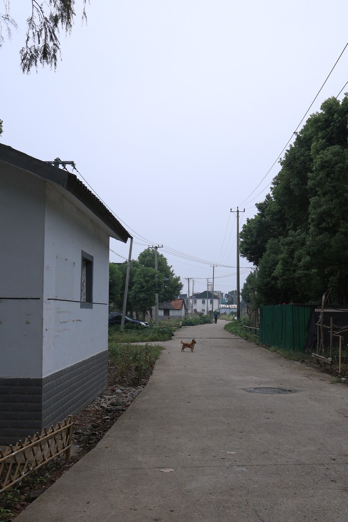 恢复出来的照片 ------ 1