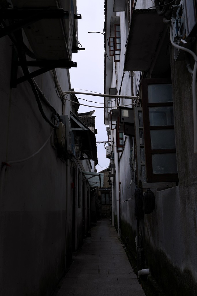 恢复出来的照片 ------ 1