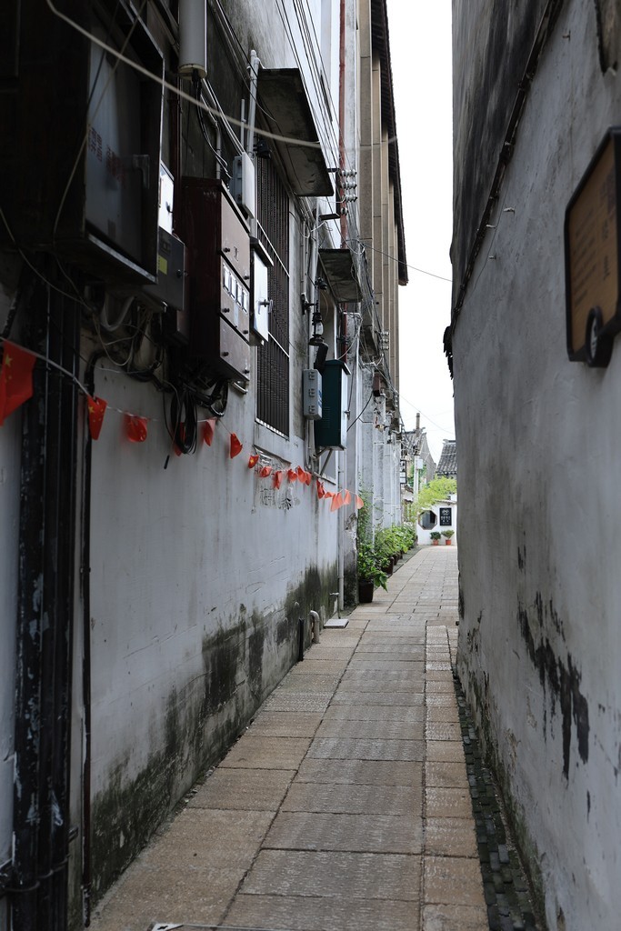 恢复出来的照片 ------ 1