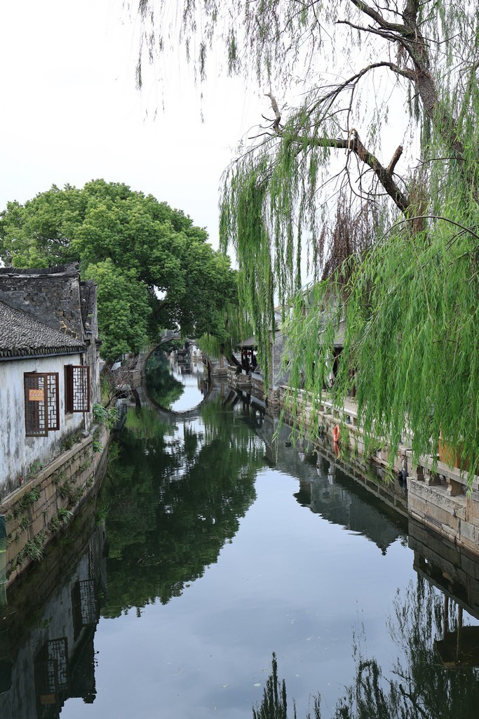 恢复出来的照片 ------ 1