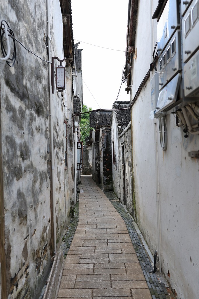 恢复出来的照片 ------ 1