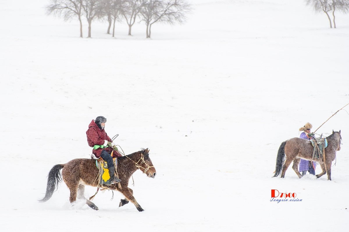 快乐的牧马人（56）
