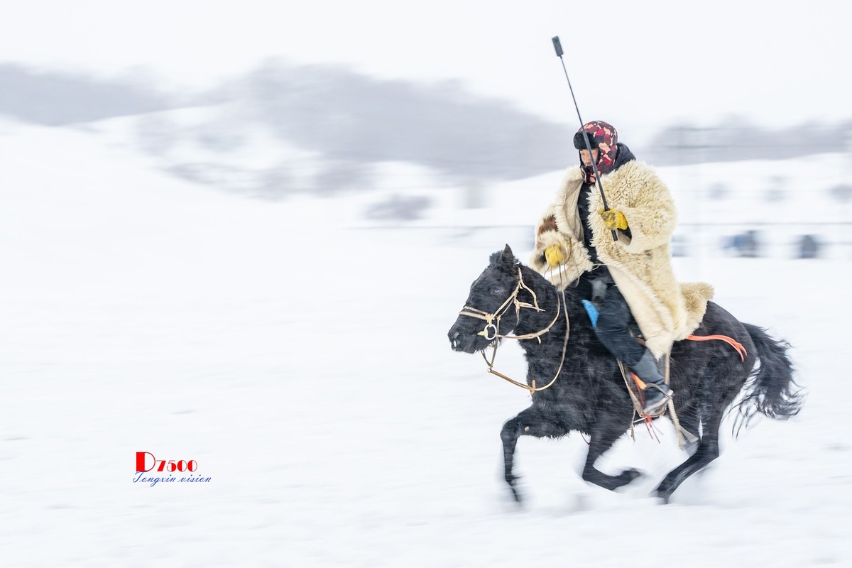 快乐的牧马人（56）