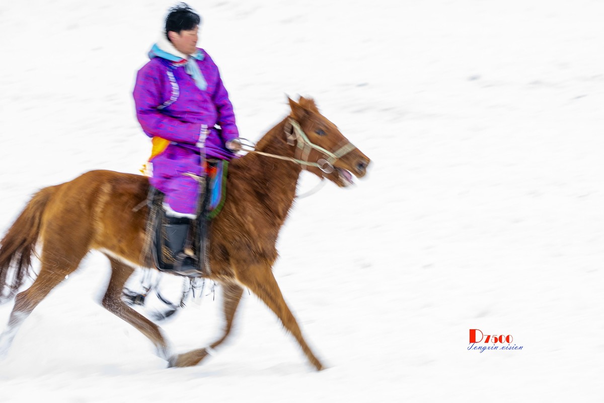 快乐的牧马人（56）