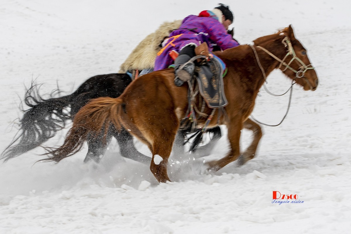 快乐的牧马人（56）