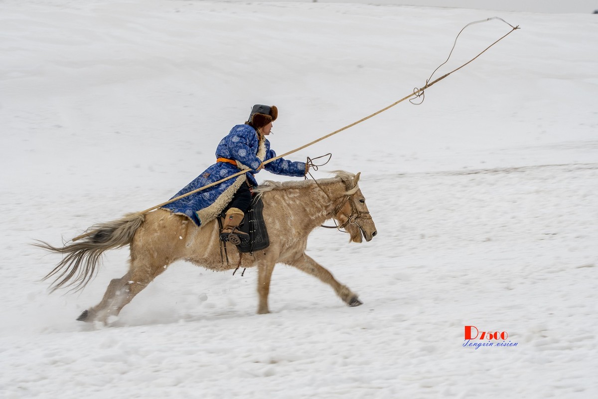 快乐的牧马人（56）