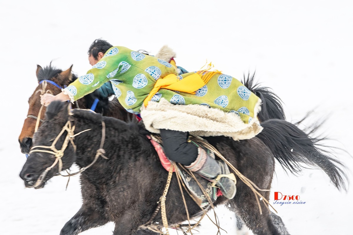 快乐的牧马人（56）