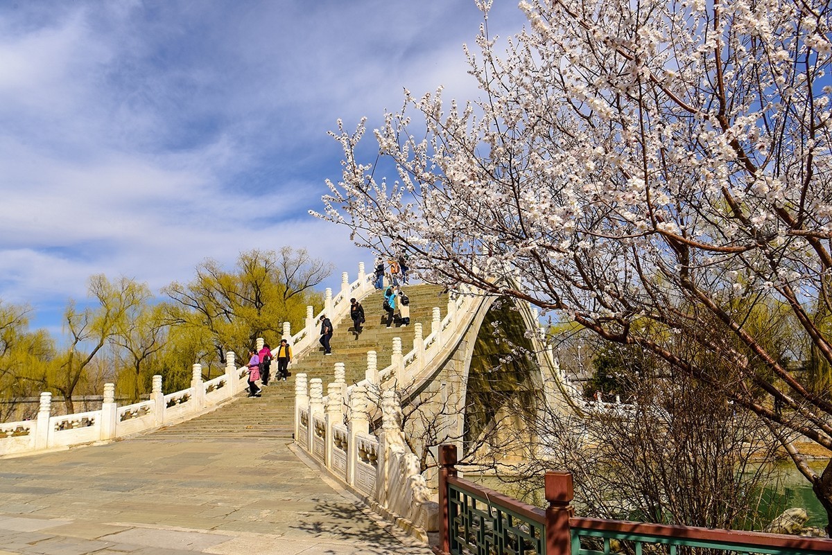 2025年第0196贴-颐和园西堤风光拍（0320）