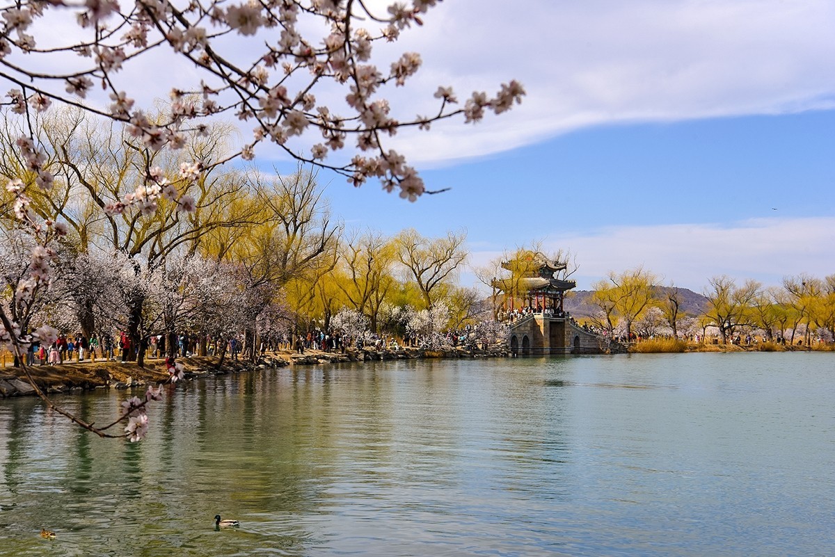 2025年第0196贴-颐和园西堤风光拍（0320）