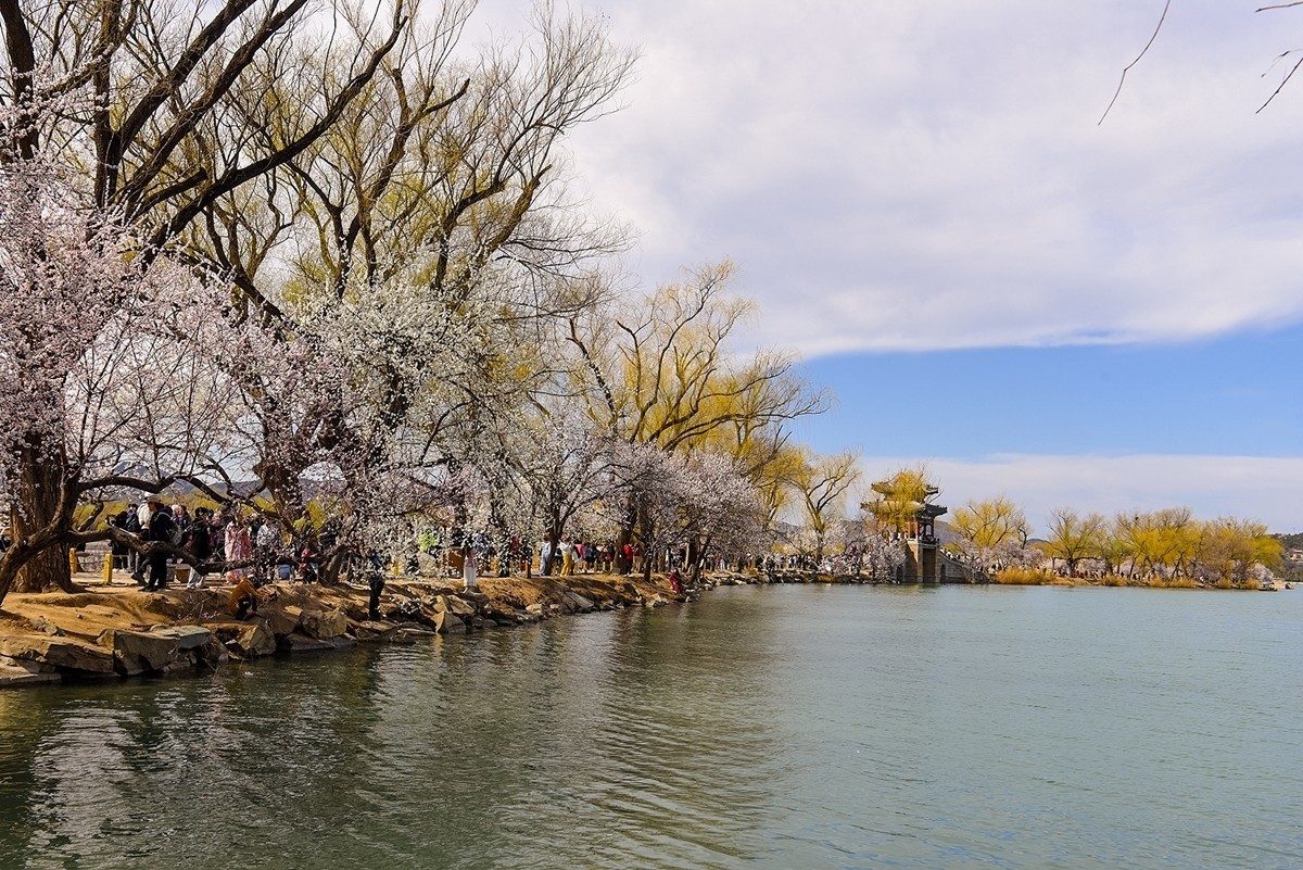 2025年第0196贴-颐和园西堤风光拍（0320）