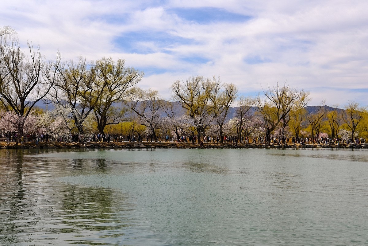 2025年第0196贴-颐和园西堤风光拍（0320）