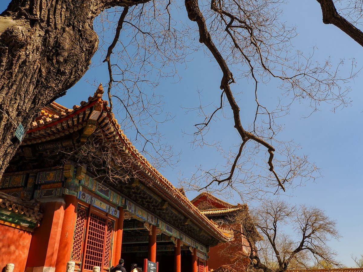 3月16日故宫（第二部分，图较多，要有心理准备）