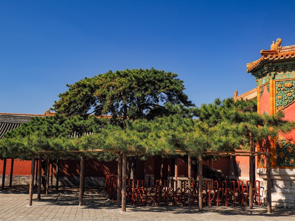 3月16日故宫（第二部分，图较多，要有心理准备）