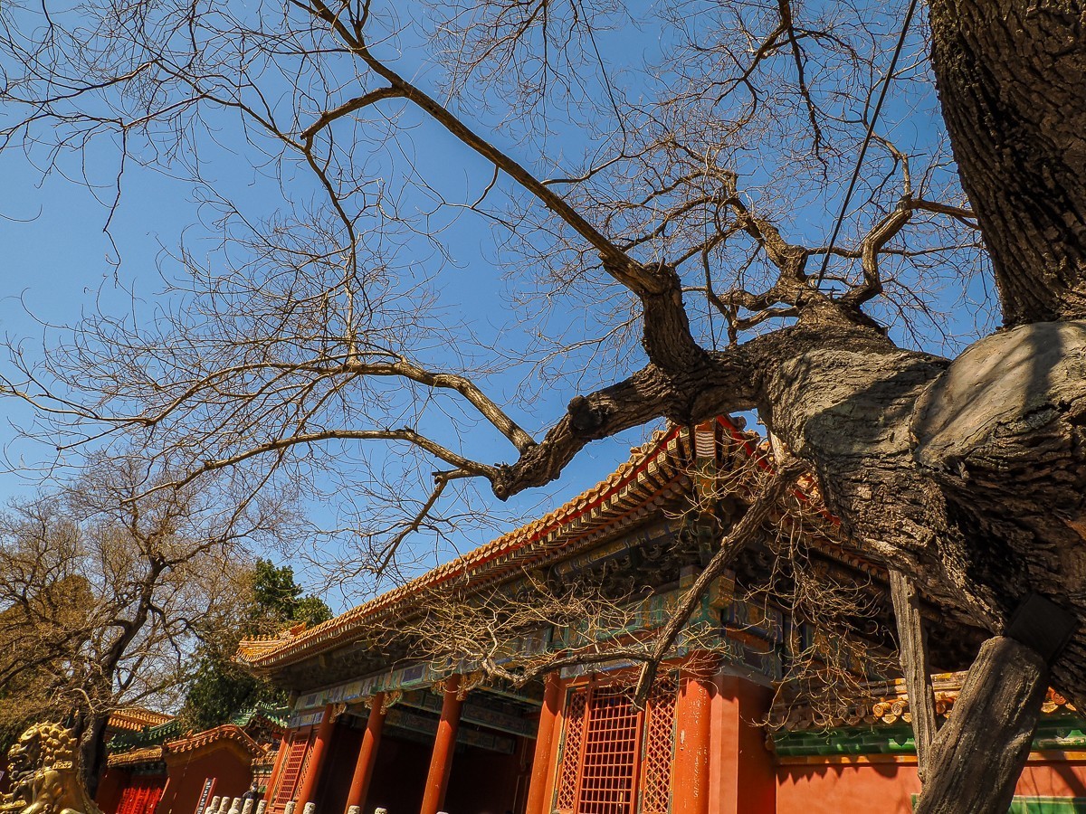 3月16日故宫（第二部分，图较多，要有心理准备）