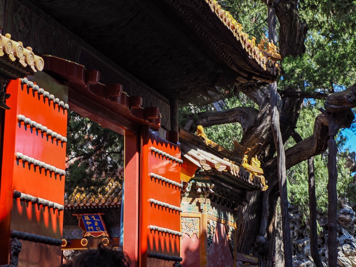 3月16日故宫（第二部分，图较多，要有心理准备）