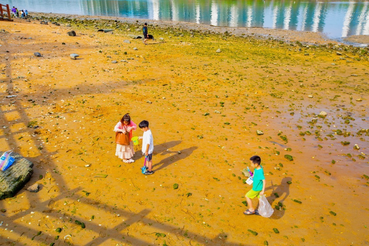 湛江金沙滩赶海