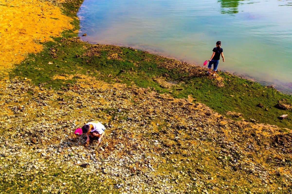 湛江金沙滩赶海