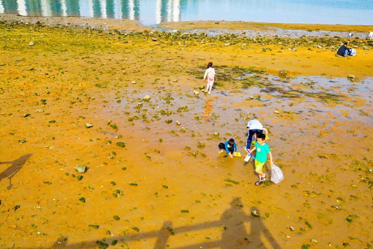 湛江金沙滩赶海