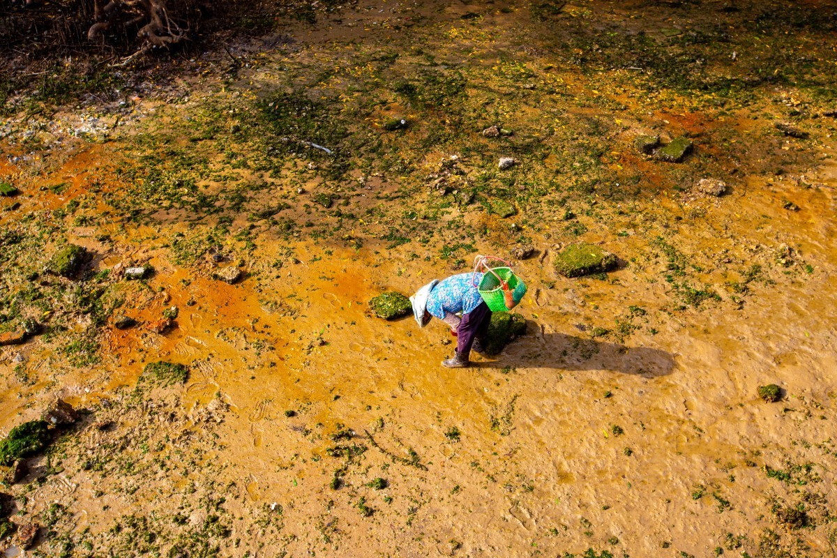 湛江金沙滩赶海