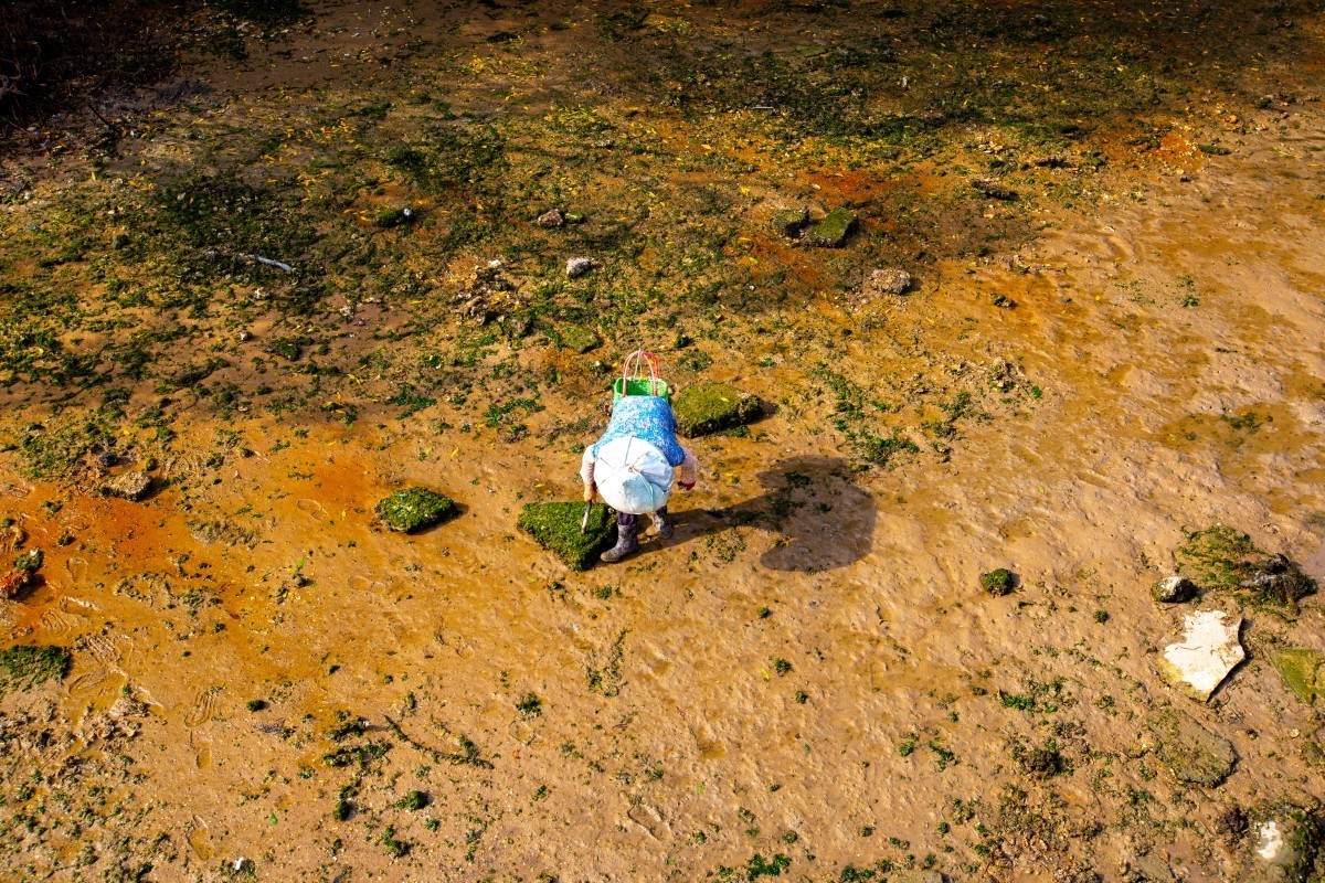 湛江金沙滩赶海
