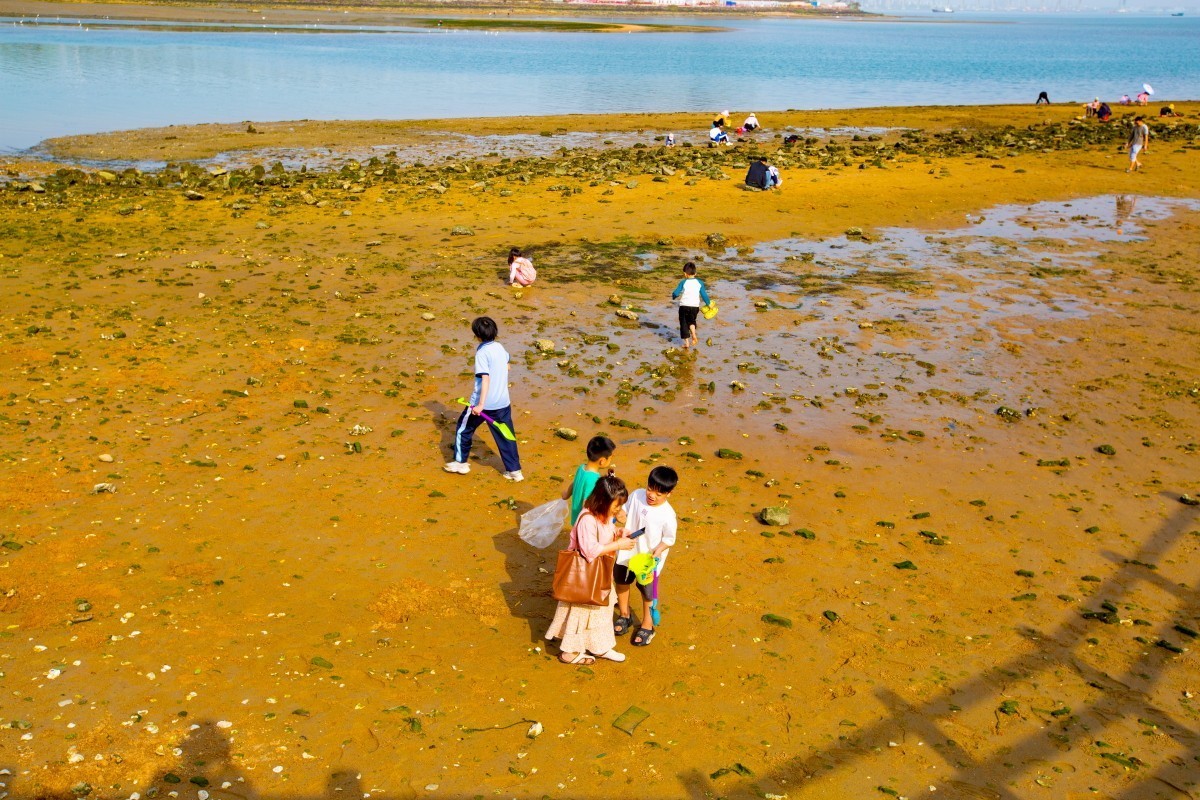 湛江金沙滩赶海