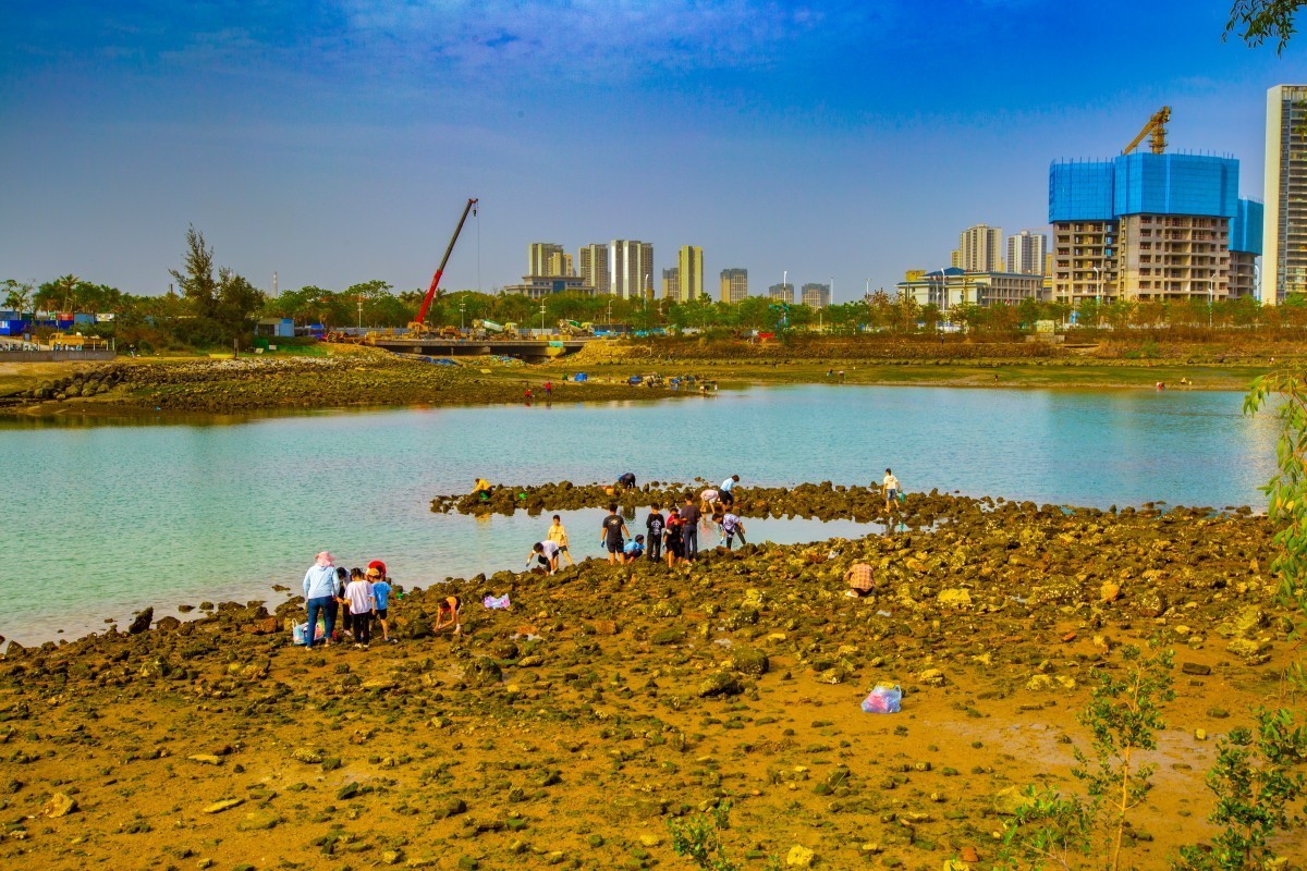 湛江金沙滩赶海