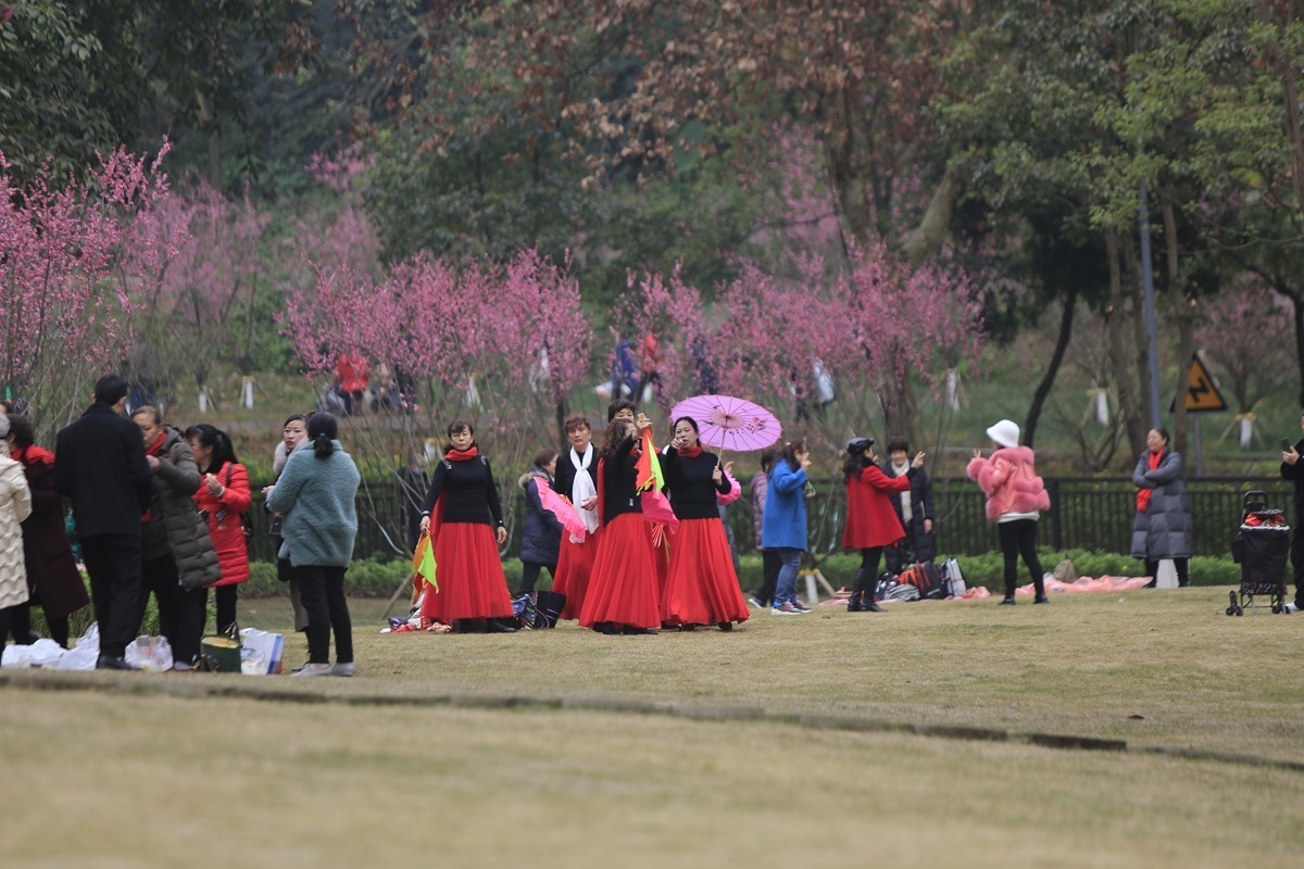 重庆渣滓洞观赏红梅纪实