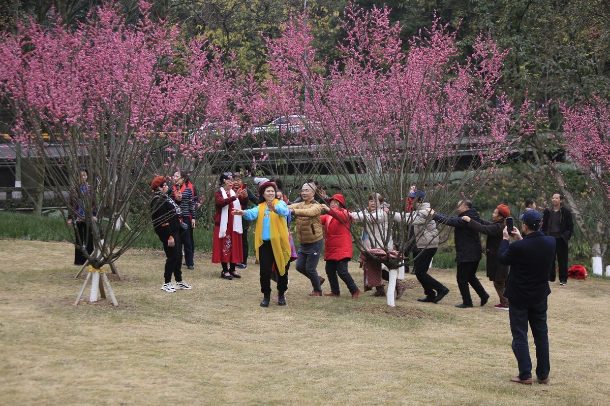 重庆渣滓洞观赏红梅纪实