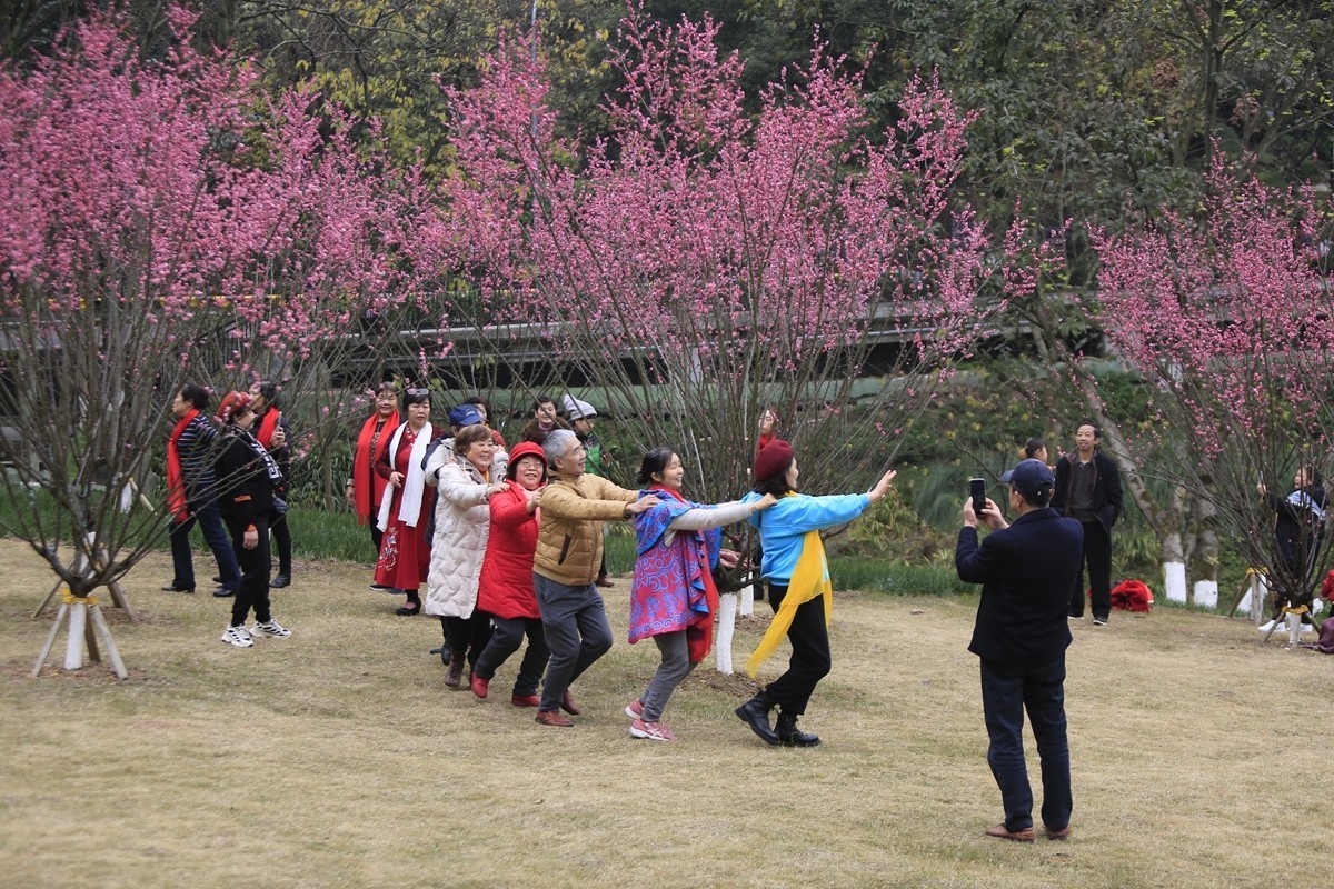 重庆渣滓洞观赏红梅纪实