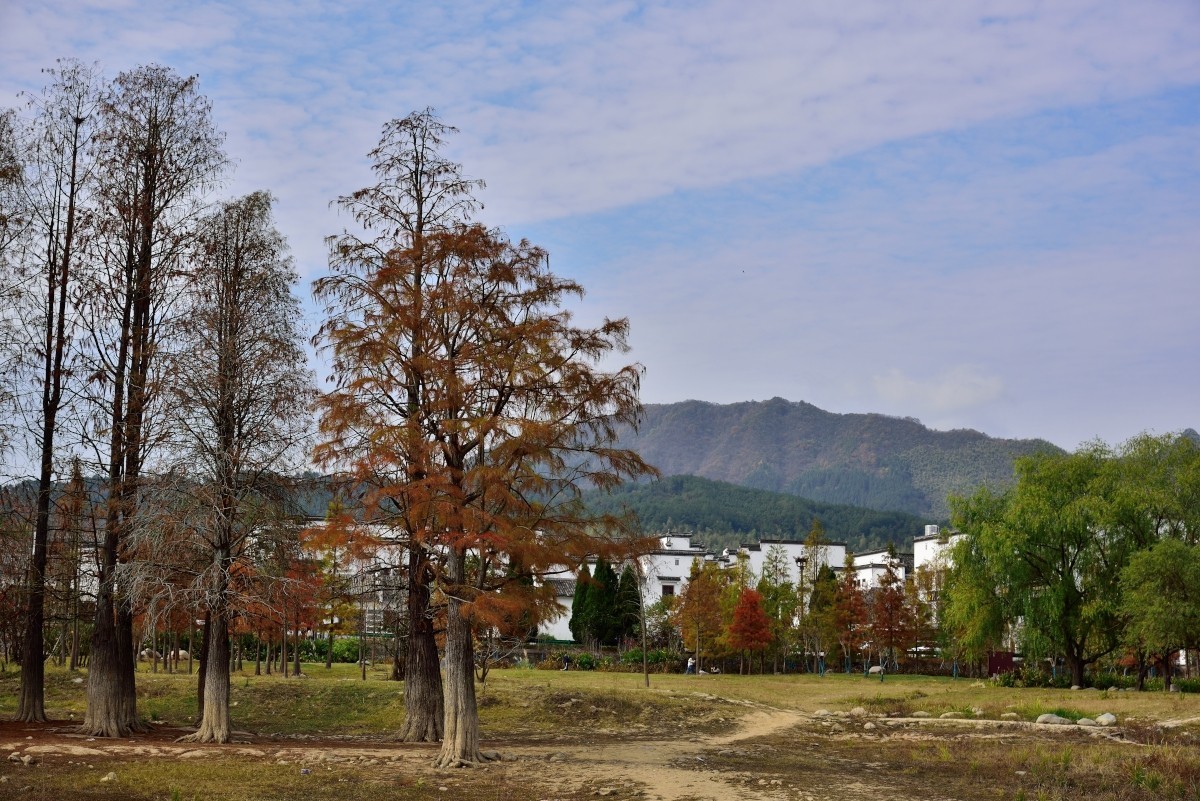 秋染塔川（一）