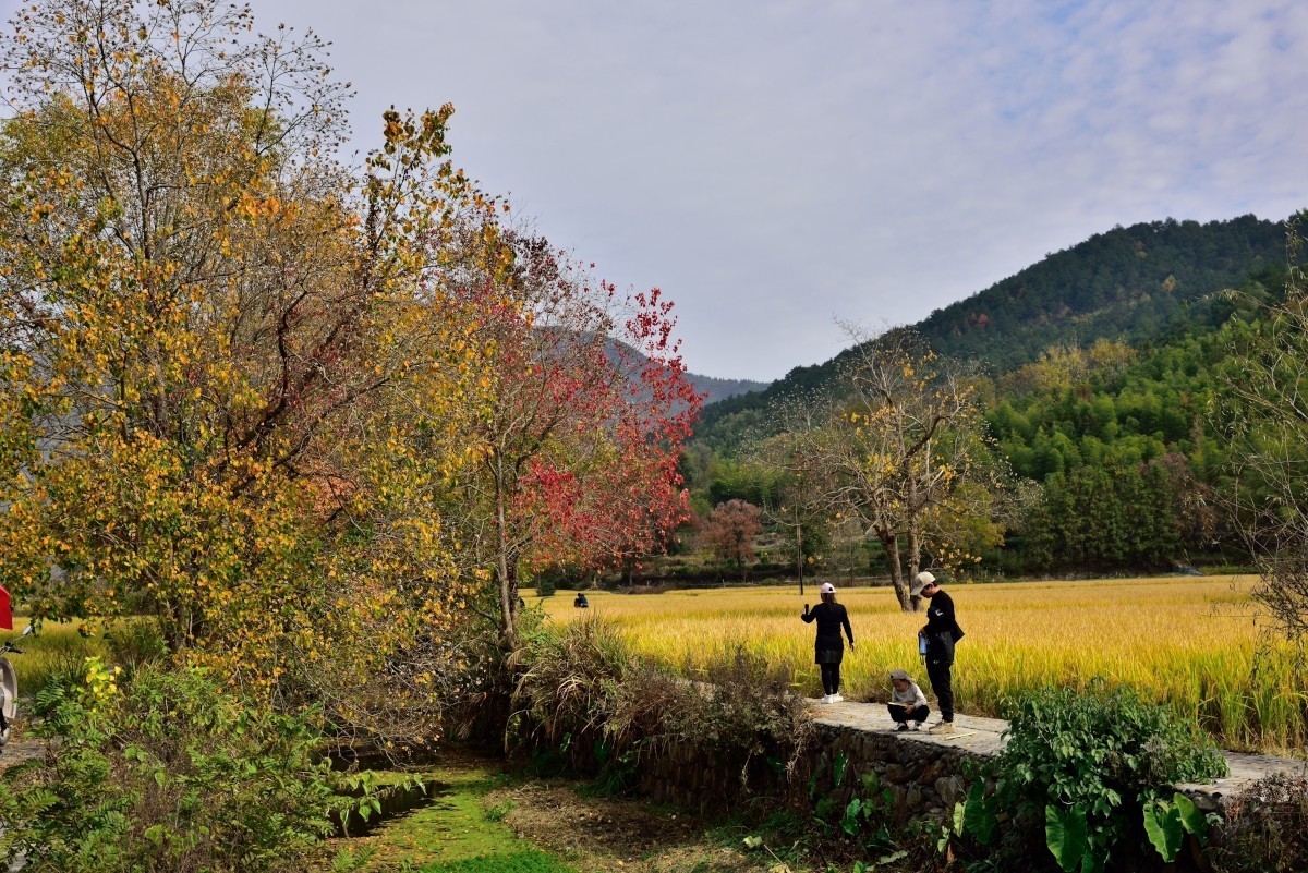 秋染塔川（一）